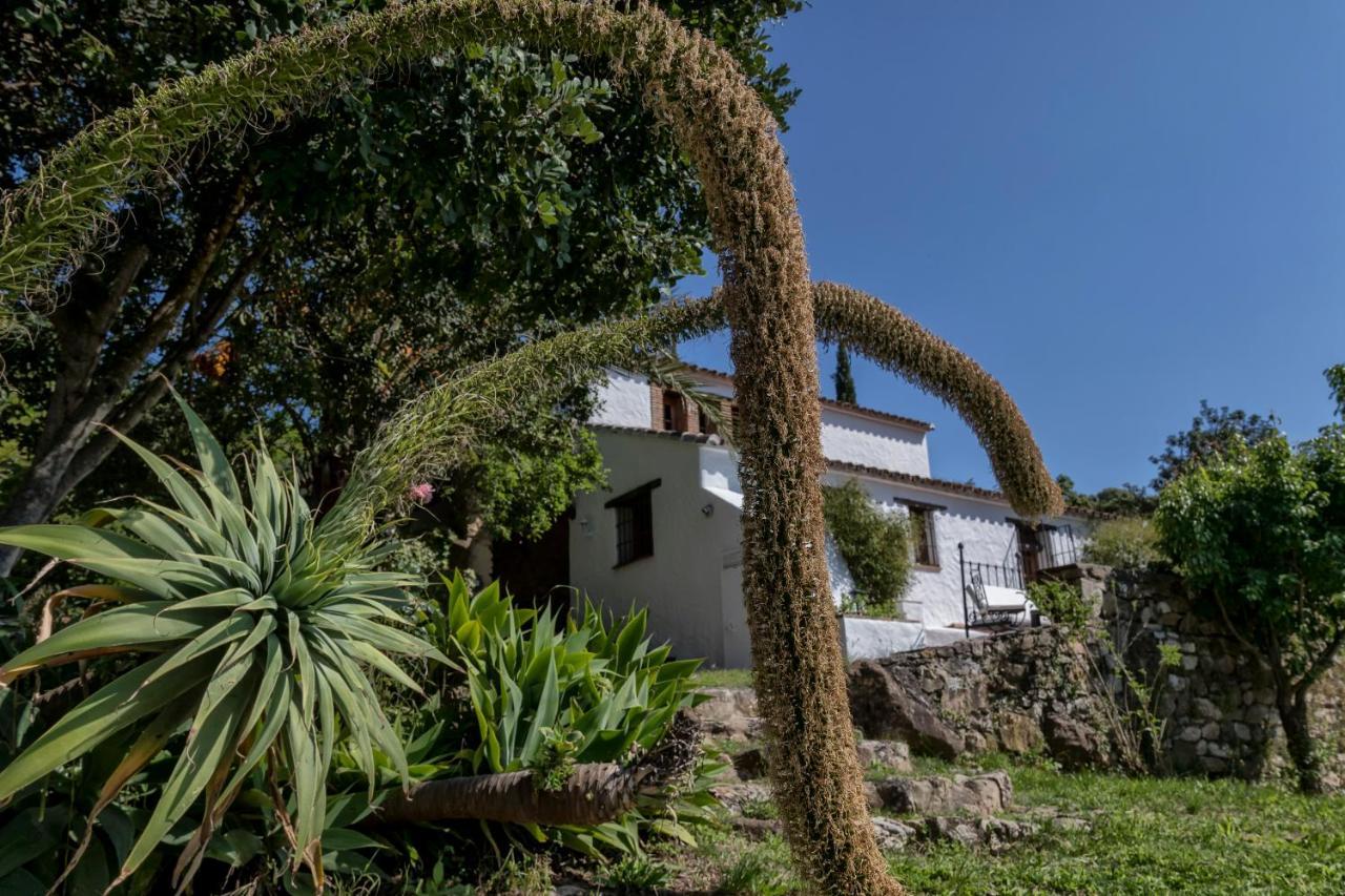 Ventorro Del Herrero - The Old Forge Country house Gaucin